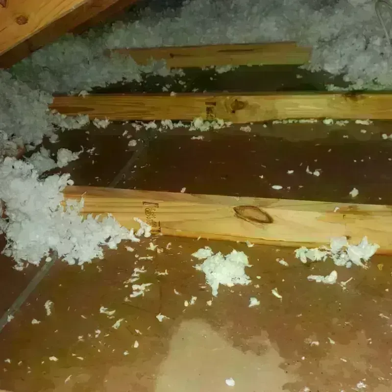 Attic Water Damage in Benton County, WA