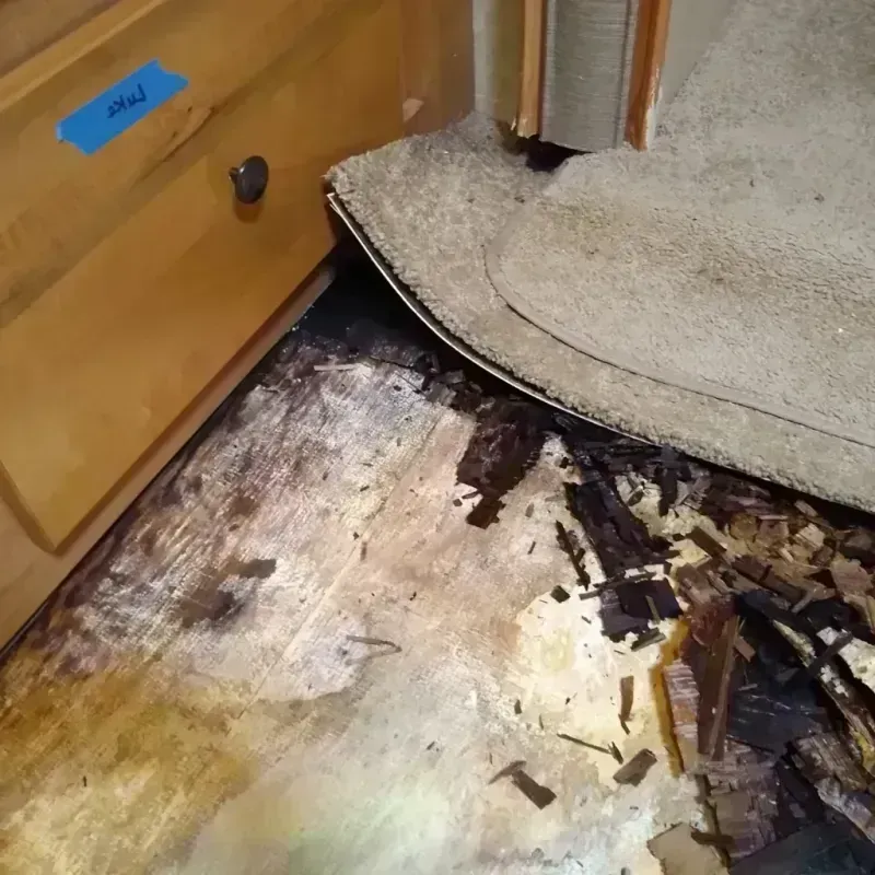 Wood Floor Water Damage in Benton County, WA